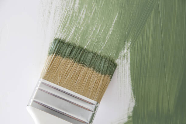 Mold Documentation for Insurance Claims in Great River, NY