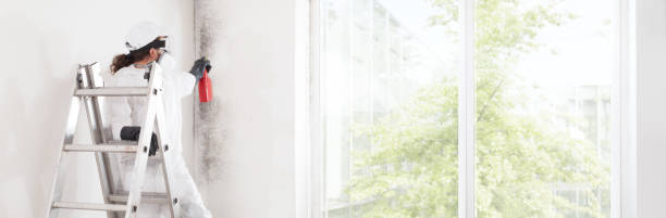 Dehumidification Services in Great River, NY